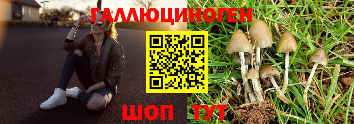 Орёл  Галлюциногенные грибы мухоморы  Вход с VPN 